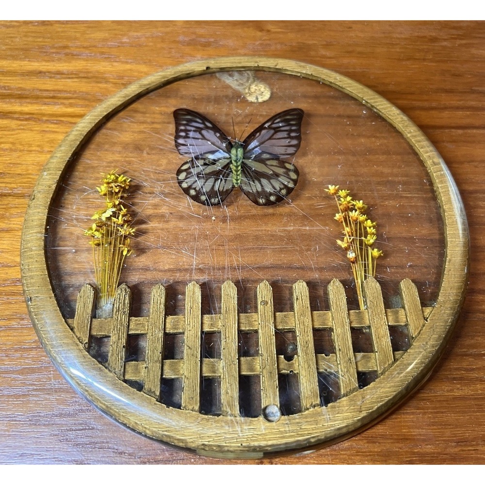 VTG 1970s Lucite Butterfly Trivet with Mini Fence and Dried Flowers - Grannycore